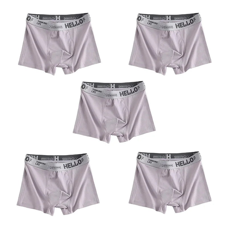 1/5pcs  Comfortable Mens Underwear Boxer Shorts