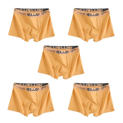 1/5pcs  Comfortable Mens Underwear Boxer Shorts