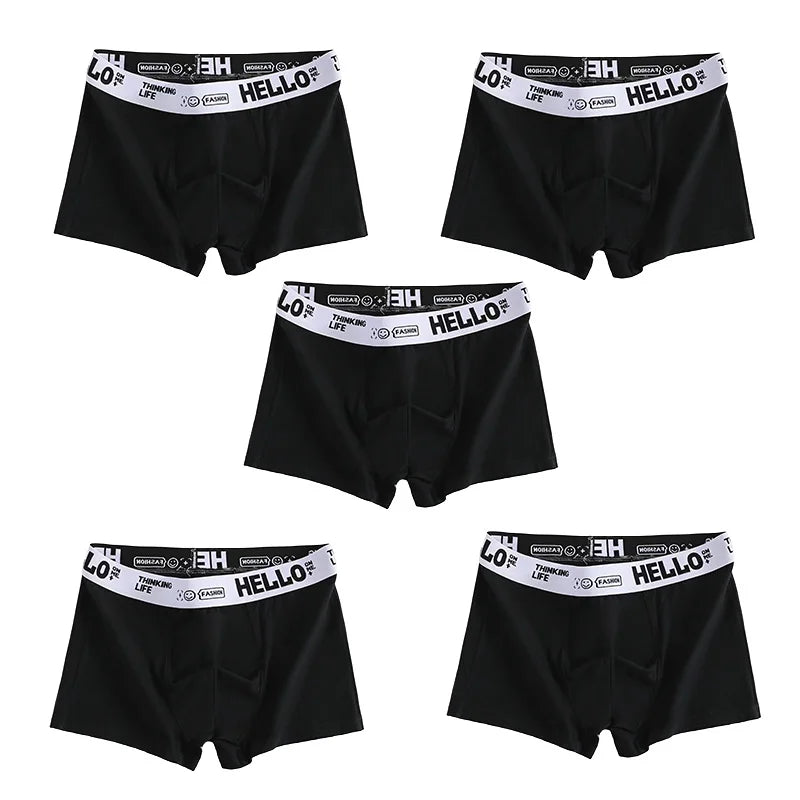 1/5pcs  Comfortable Mens Underwear Boxer Shorts