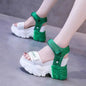 Platform Sandals Women Wedge Loop Chunky Sandals