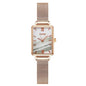 Stainless Steel Ladies Business Quartz Wristwatches