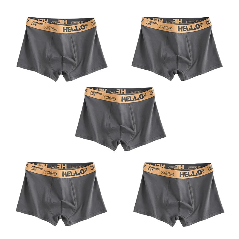 1/5pcs  Comfortable Mens Underwear Boxer Shorts