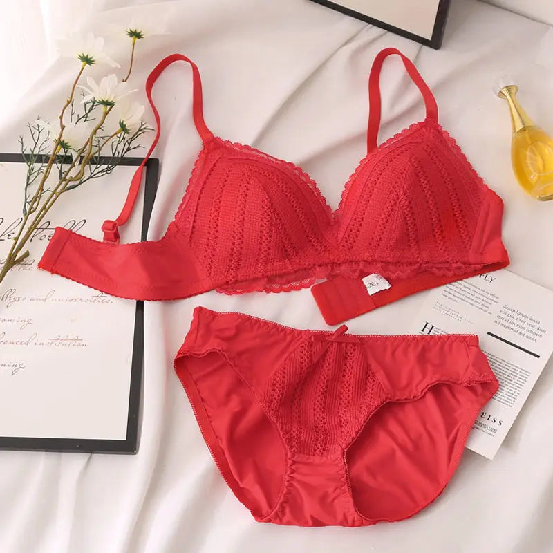 Lace Embroidery Bra Set Women Push Up Underwear Set Bra