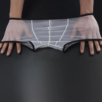 Transparent Boxers for Men (mesh)