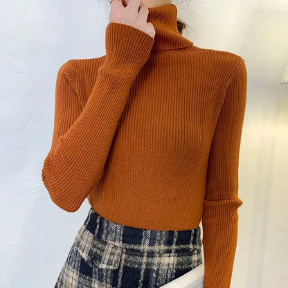 Turtleneck Knitted Soft Pullovers Cashmere Sweaters For Women