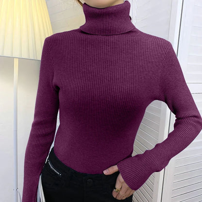 Turtleneck Knitted Soft Pullovers Cashmere Sweaters For Women