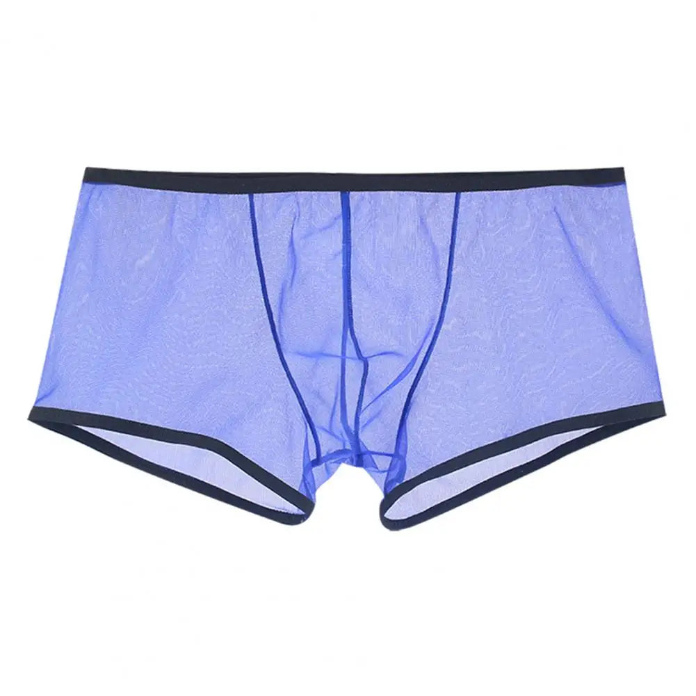 Transparent Boxers for Men (mesh)