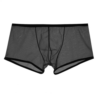 Transparent Boxers for Men (mesh)